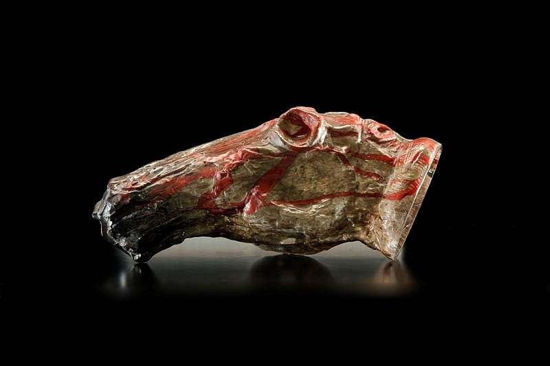 Vaclav Machac, Small Anatomy of a Horse Head
2008, Glass