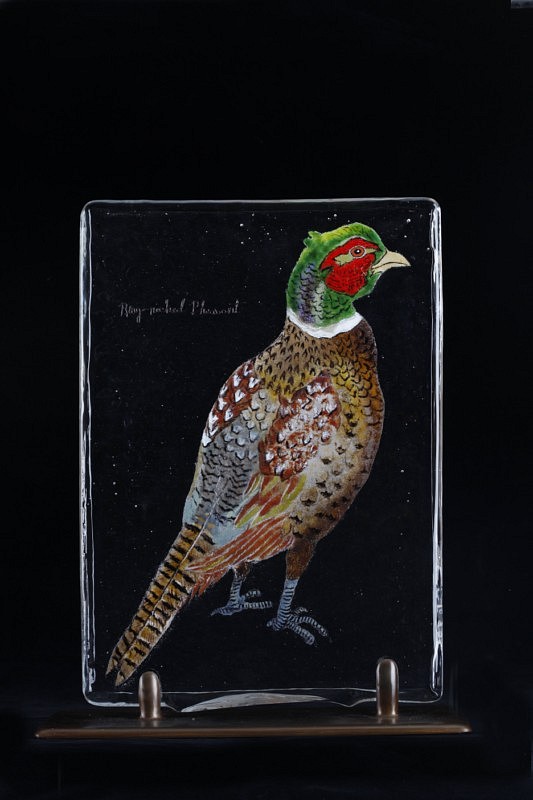 Kirkpatrick  Mace, Bird Page: Ring-Necked Pheasant
2009, Glass